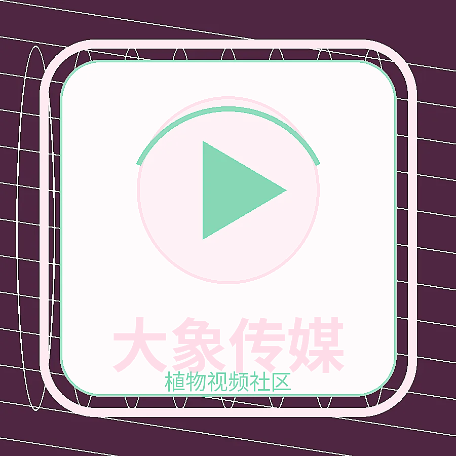 大象传媒